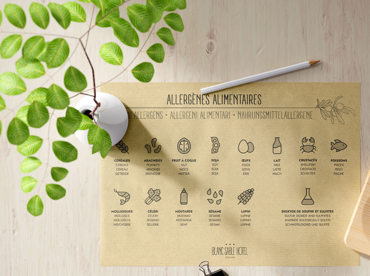 uovo-site_bsh_pictos_allergenes
